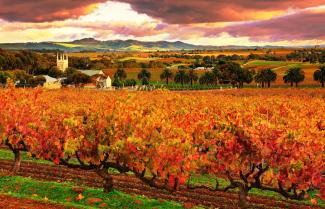 Barossa Valley