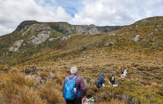 Hiking in Cradle Mountain