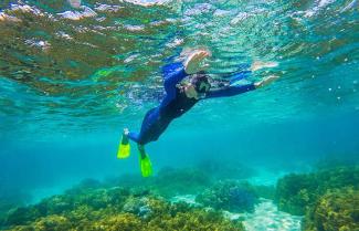 Snorkeling off Port Douglas