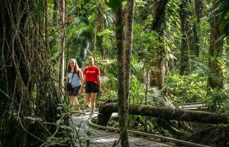 Cape Tribulation