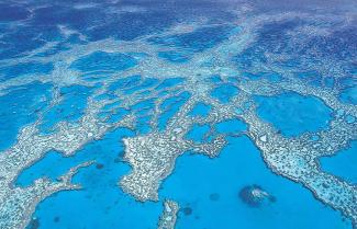 Queensland Great Barrier Reef