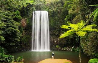 Queensland Millaa Millaa Falls