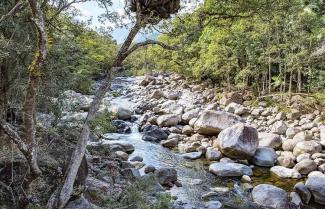 Queensland Mossman Gorge