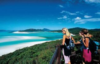 Queensland White Have Beach