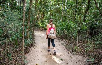 Mossman Gorge