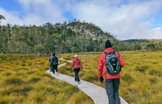 Cradle Valley Hike