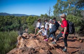 Bush walk Wilpena Pound