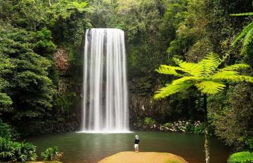 Queensland Millaa Millaa Falls