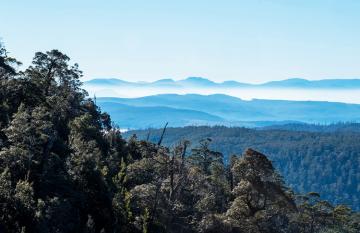 Hartz Mountains